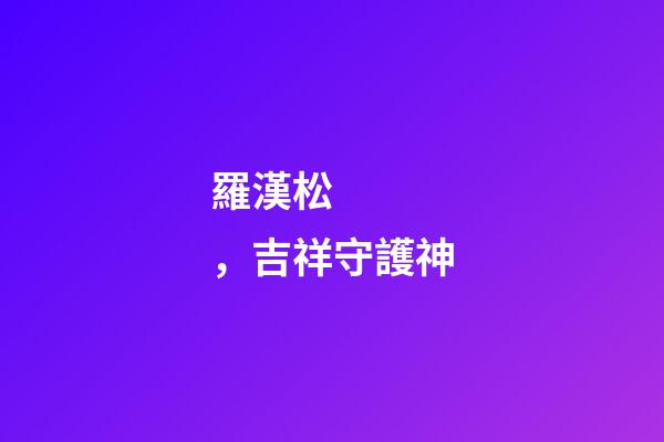羅漢松，吉祥守護神